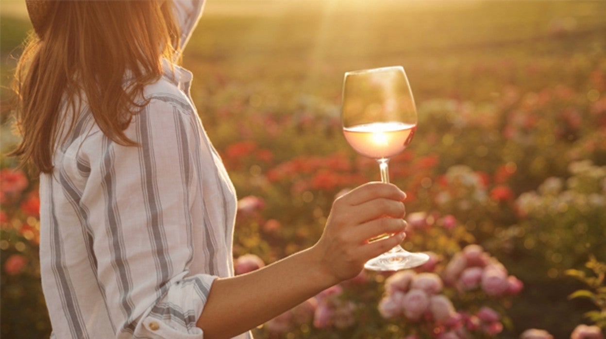 Vinos de Verano: cuatro rutas con sabor por tierras de Castilla y León