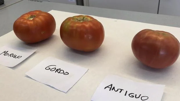 Gordo, Moruno y Antiguo: ¿qué tienen de especial estos tomates olvidados de Madrid?