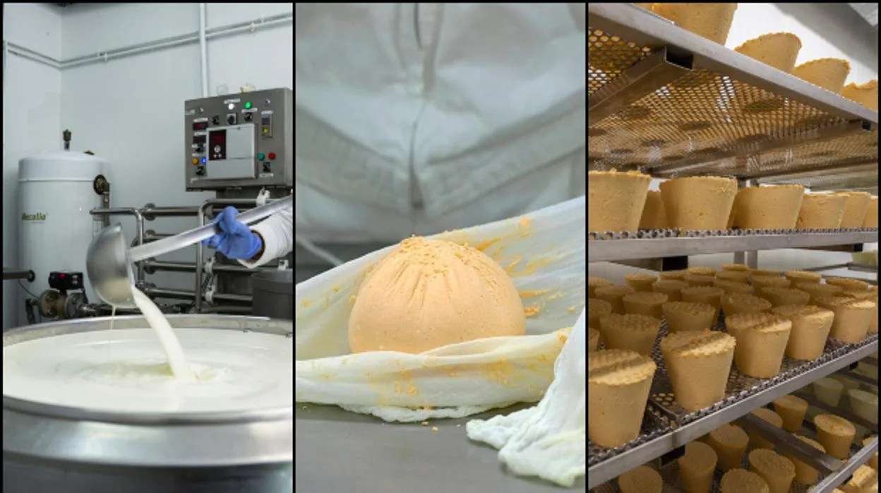 Proceso de elaboración del queso 'afuega'l pitu' asturiano