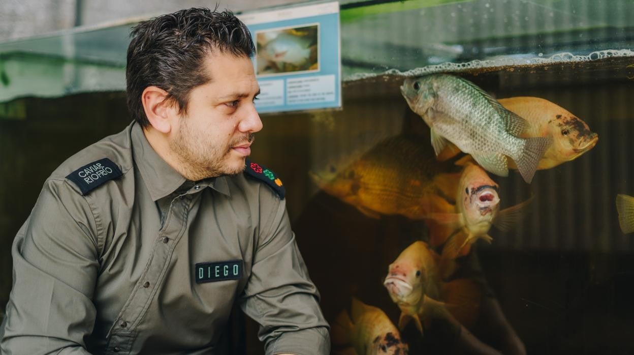 Diego Gallegos, chef de Sollo, frente a uno de los taques en los que cría los pescados de río en los que basa su menú