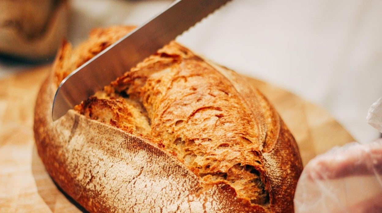 Pan de Masa Madre al 75 % - Cocinando con mi Carmela: Fotografía  Gastronómica