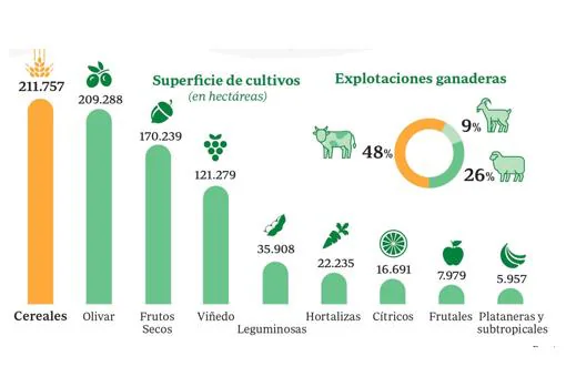 España, un país verde: lidera la agricultura ecológica en Europa pero aún suspende en consumo