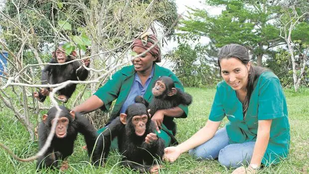 Rebeca Atencia: «Algunos chimpancés han visto cómo mataban a sus madres»
