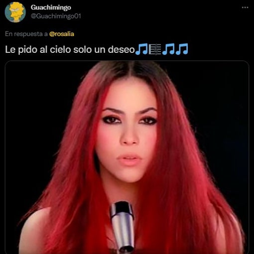 Así acusaba de plagio a Rosalía un fan.