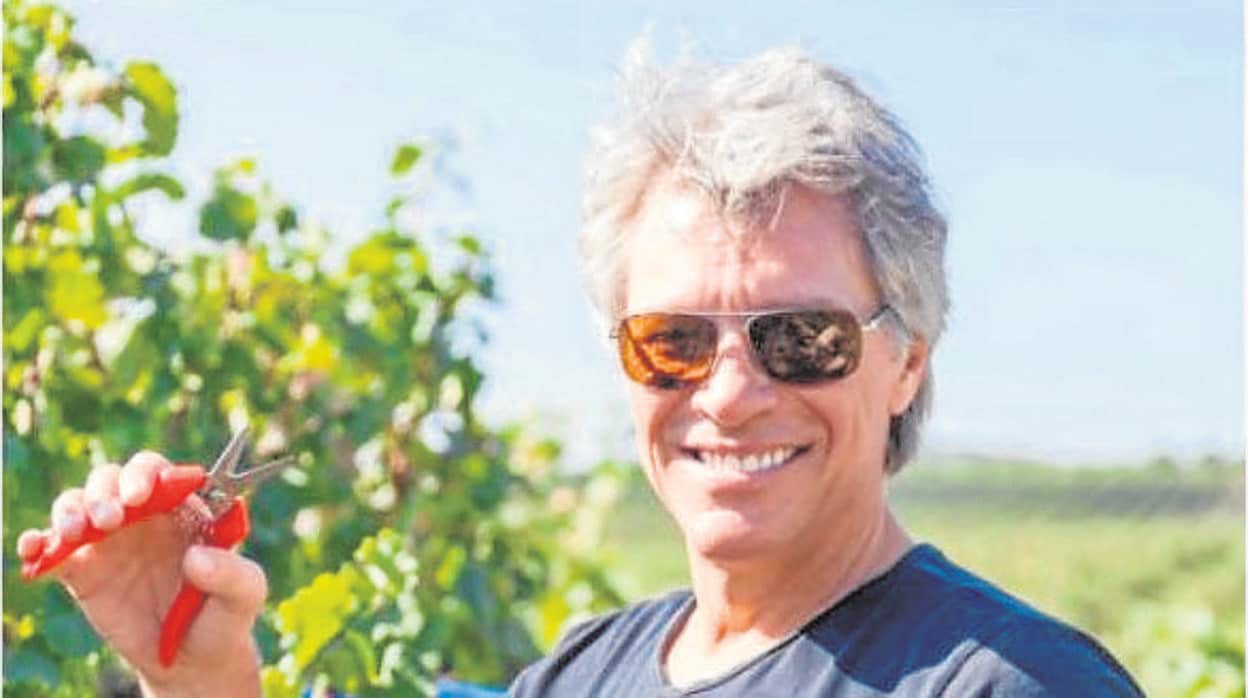Jon Bon Jovi, el rockero que produce uno de los mejores vinos rosados del mundo