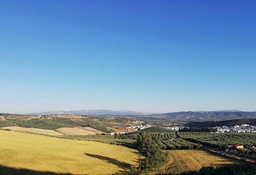 Imagen de Alcalá del Valle, con el núcleo urbano a la derecha