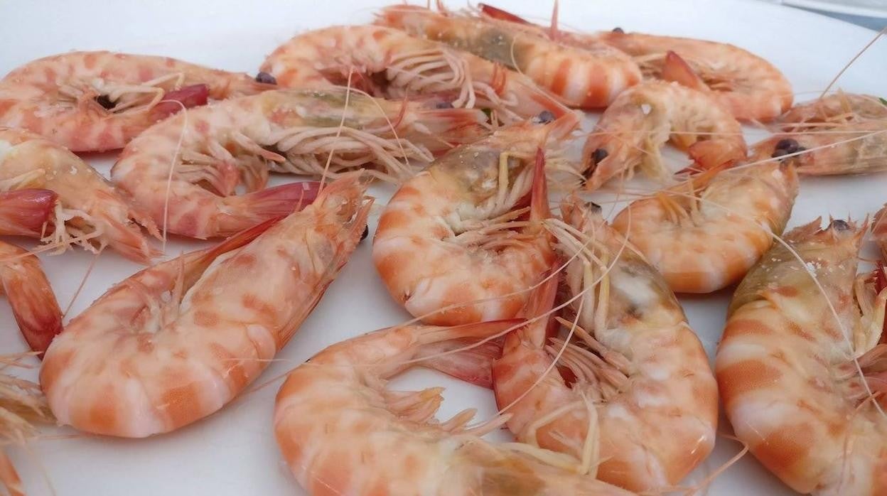 Los langostinos, uno de los productos más típicos de Sanlúcar