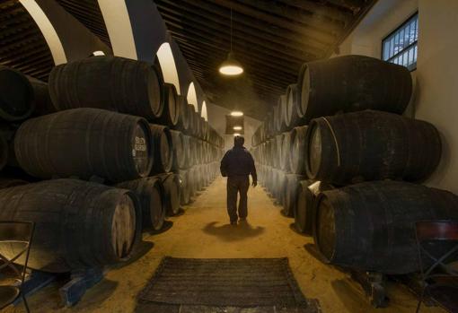 Botas en la bodega jerezana