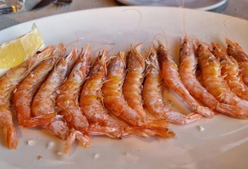 Gambas de Huelva a la plancha