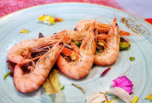 Plato de gambas cocidas