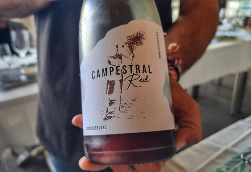 Campestral Red, uno de los vinos