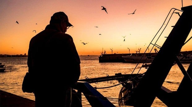 Sanlúcar celebra el II Festival del Pescado el próximo domingo