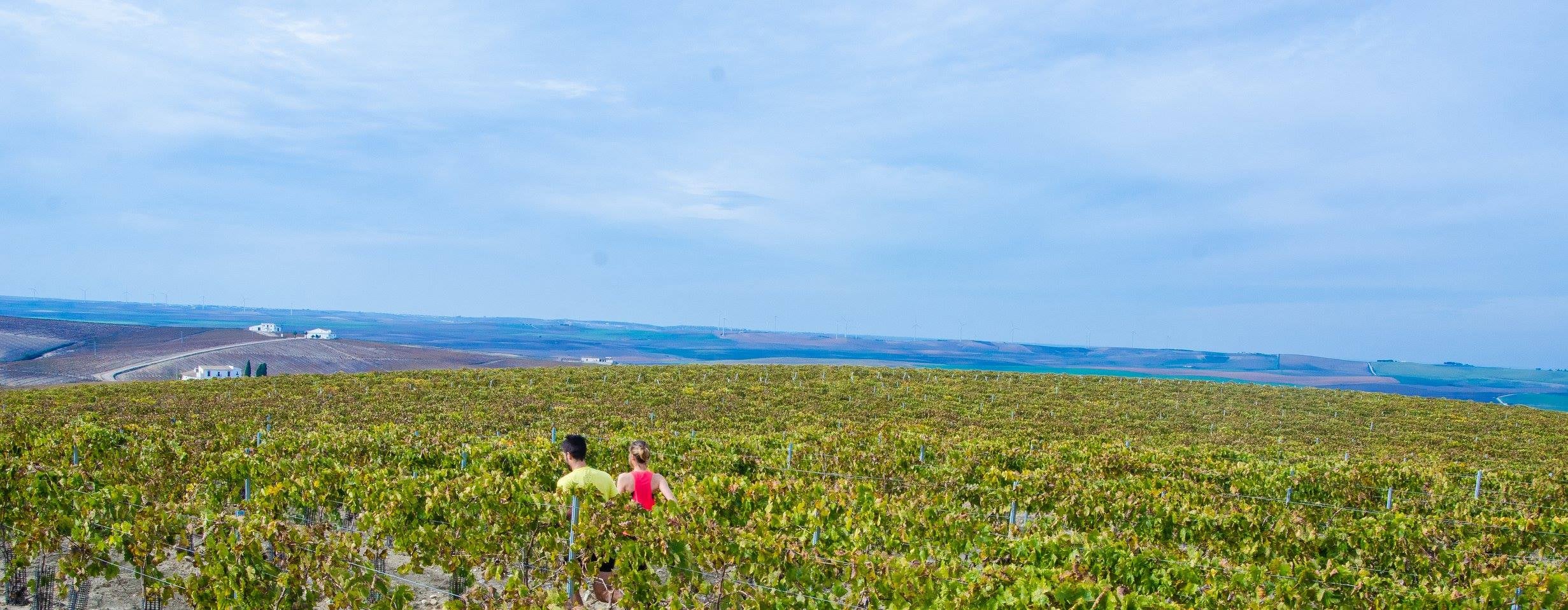 Vino de Jerez, gastronomía y deporte en el Sherry Maratón