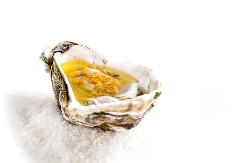 iberostar-cataria-img-1. 