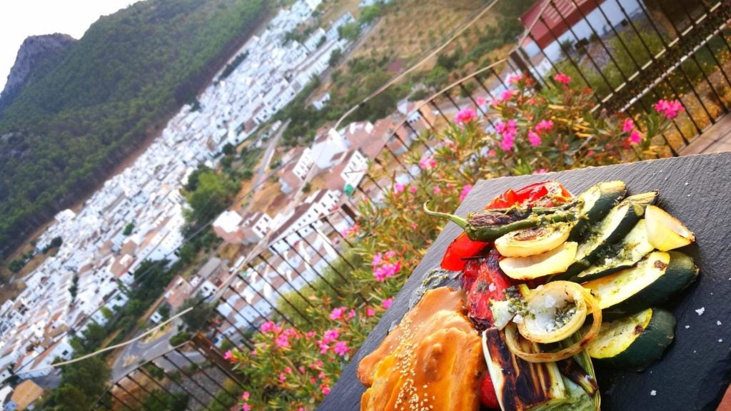 lapsicinagastorvistas. 