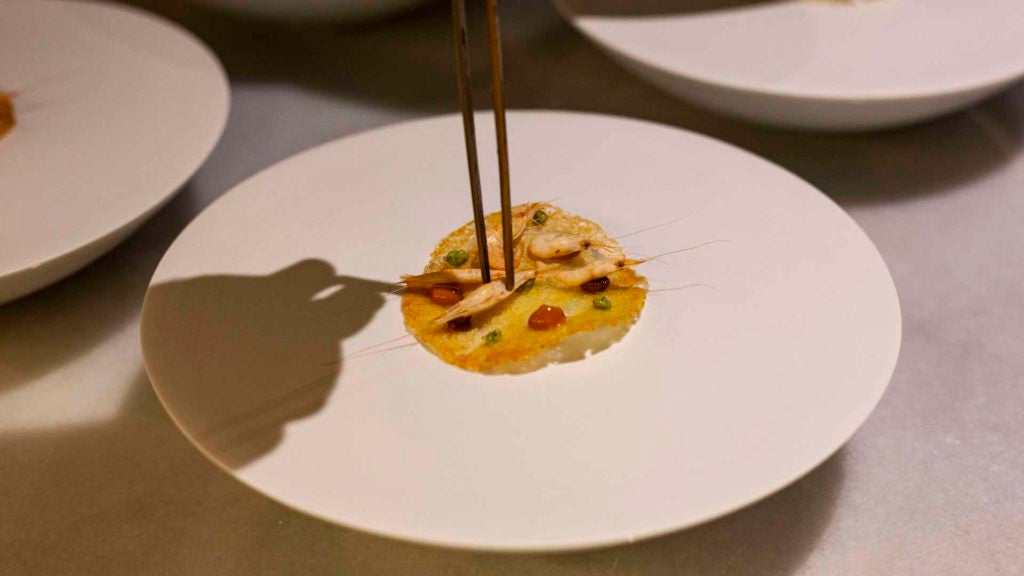 codigodebarratorticamarones. 