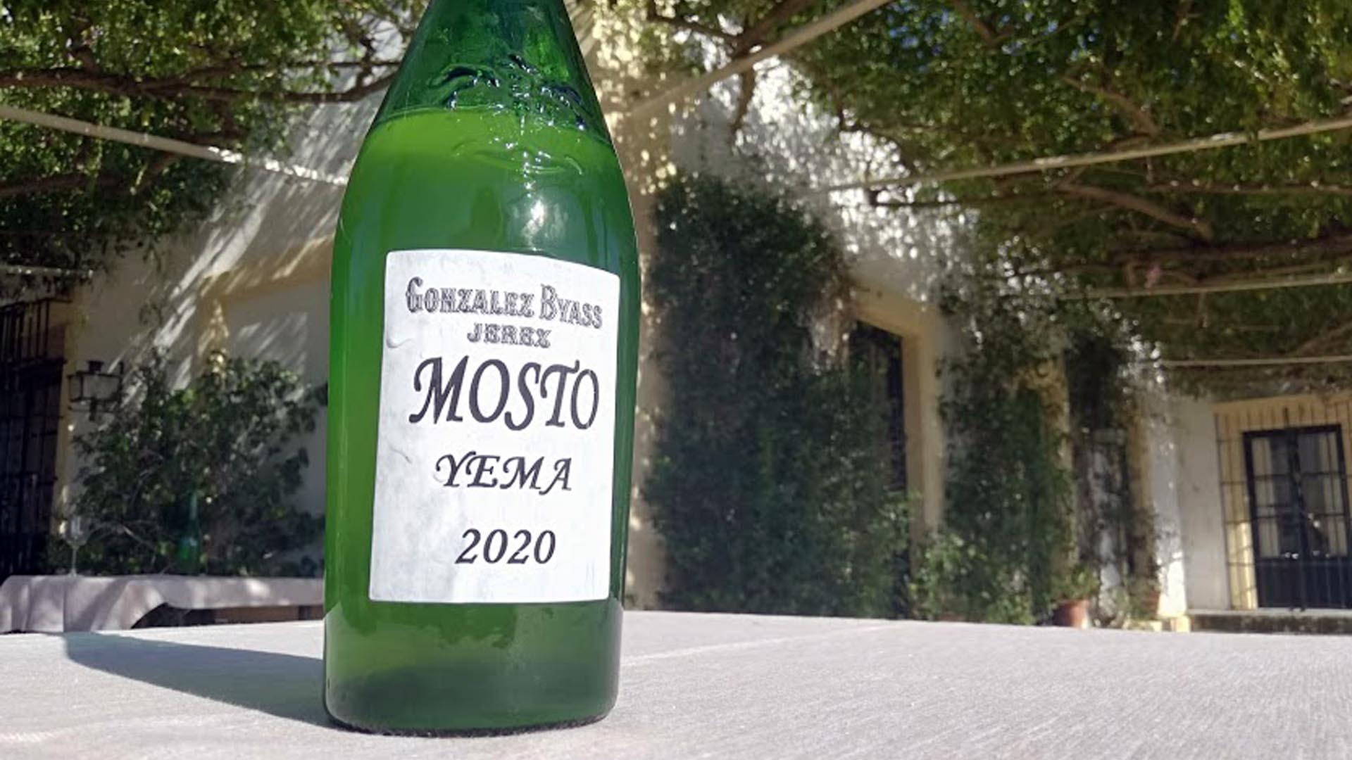 Mosto de González Byass: &quot;Tú, mañana, serás Tío Pepe&quot;