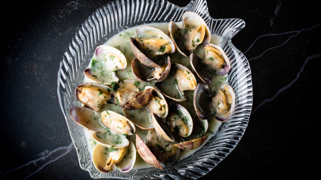 Lobito de Mar en Marbella. 