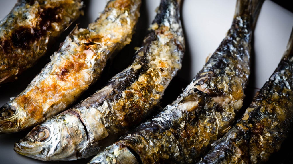 Lobito de Mar en Marbella. 