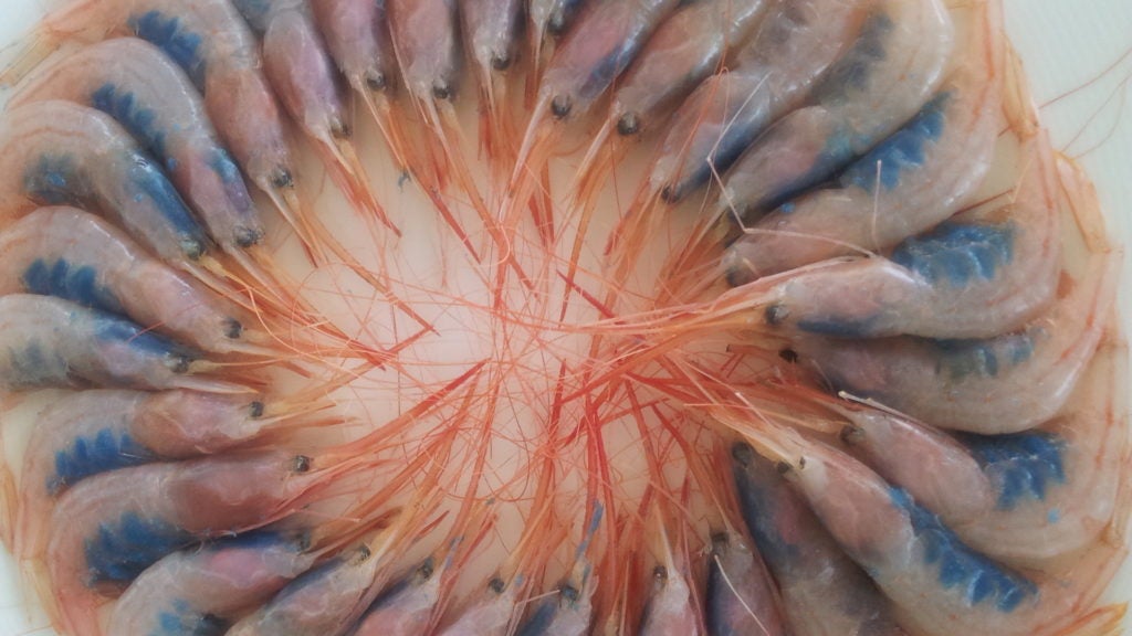 marisqueria godoy 7. 