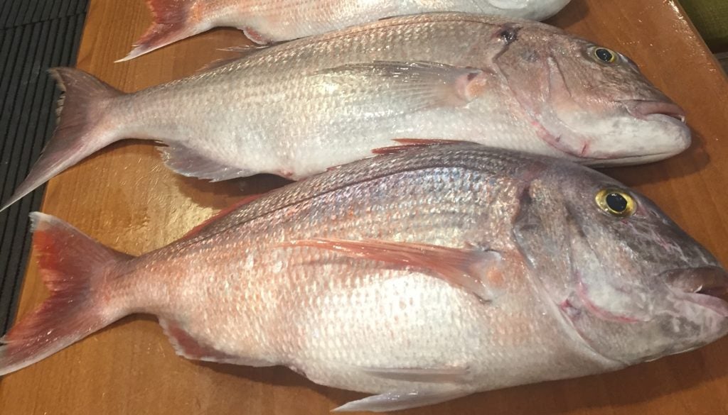 marisqueria godoy 9. 