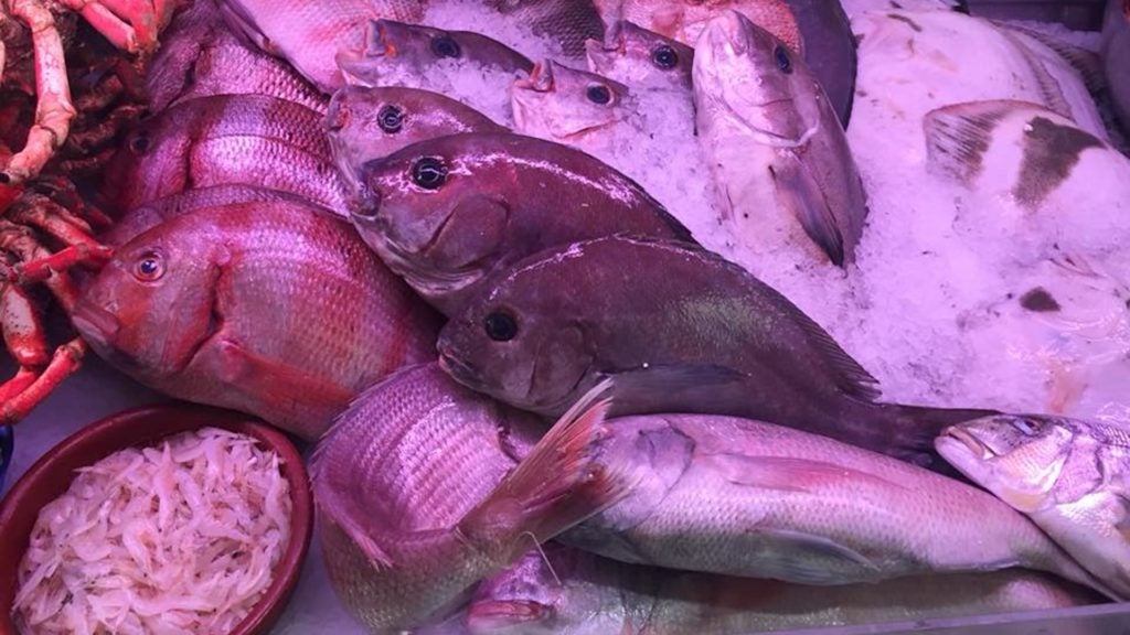 restaurante la escollera en estepona 2. 