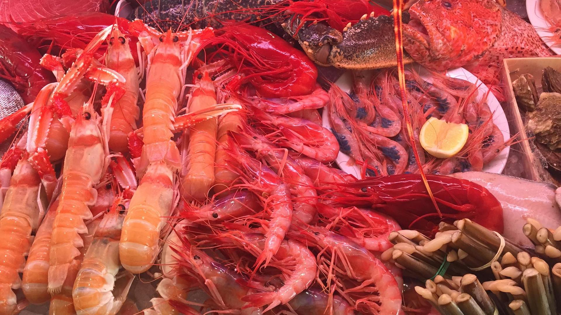 Qué comer en el restaurante La Escollera en Estepona