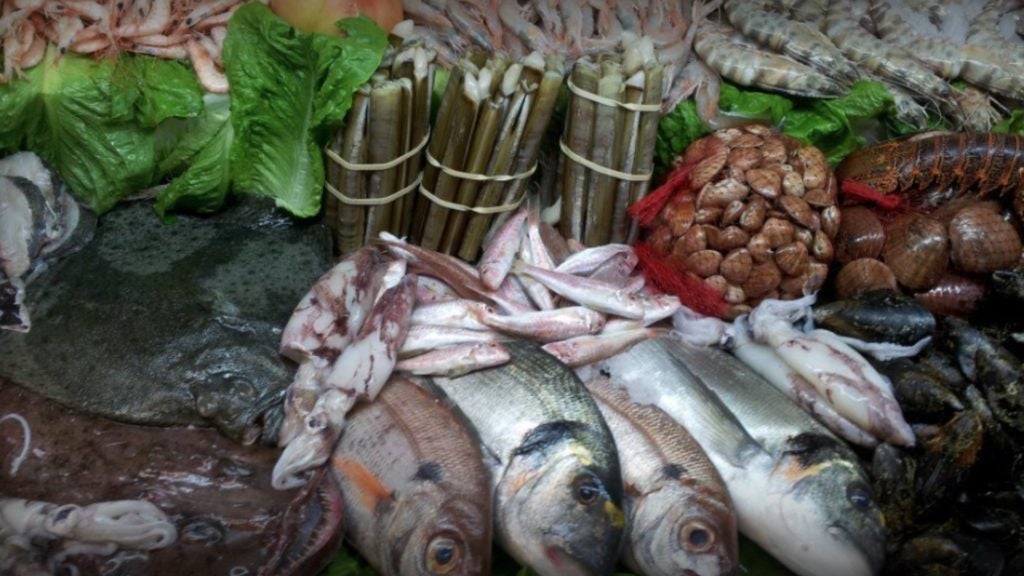 antigua casa de botes 6. 