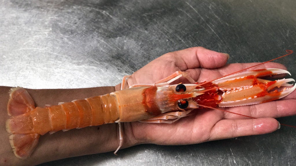 El Figón de Montemar en Torremolinos. El Figón de Montemar en Torremolinos