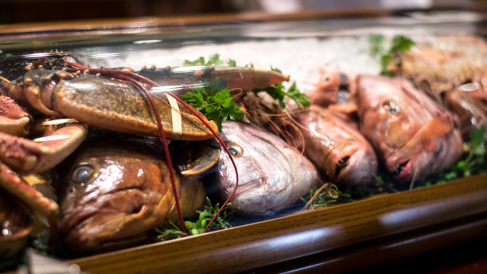 Todas las especialidades de El Mesón de Andrés, en Fuengirola