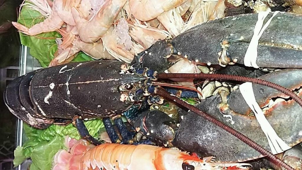 marisqueria doramar puerto en malaga capital 4. 