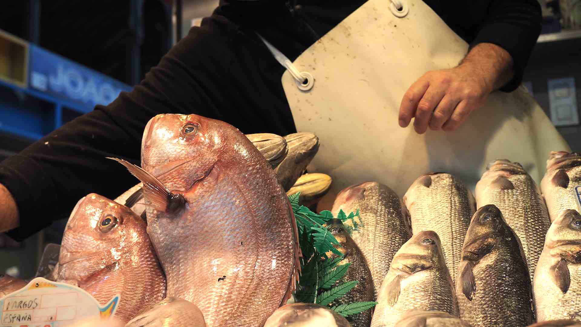 Del mercado a tu cocina, productos frescos y a diario: Un año de Rey de Abastos