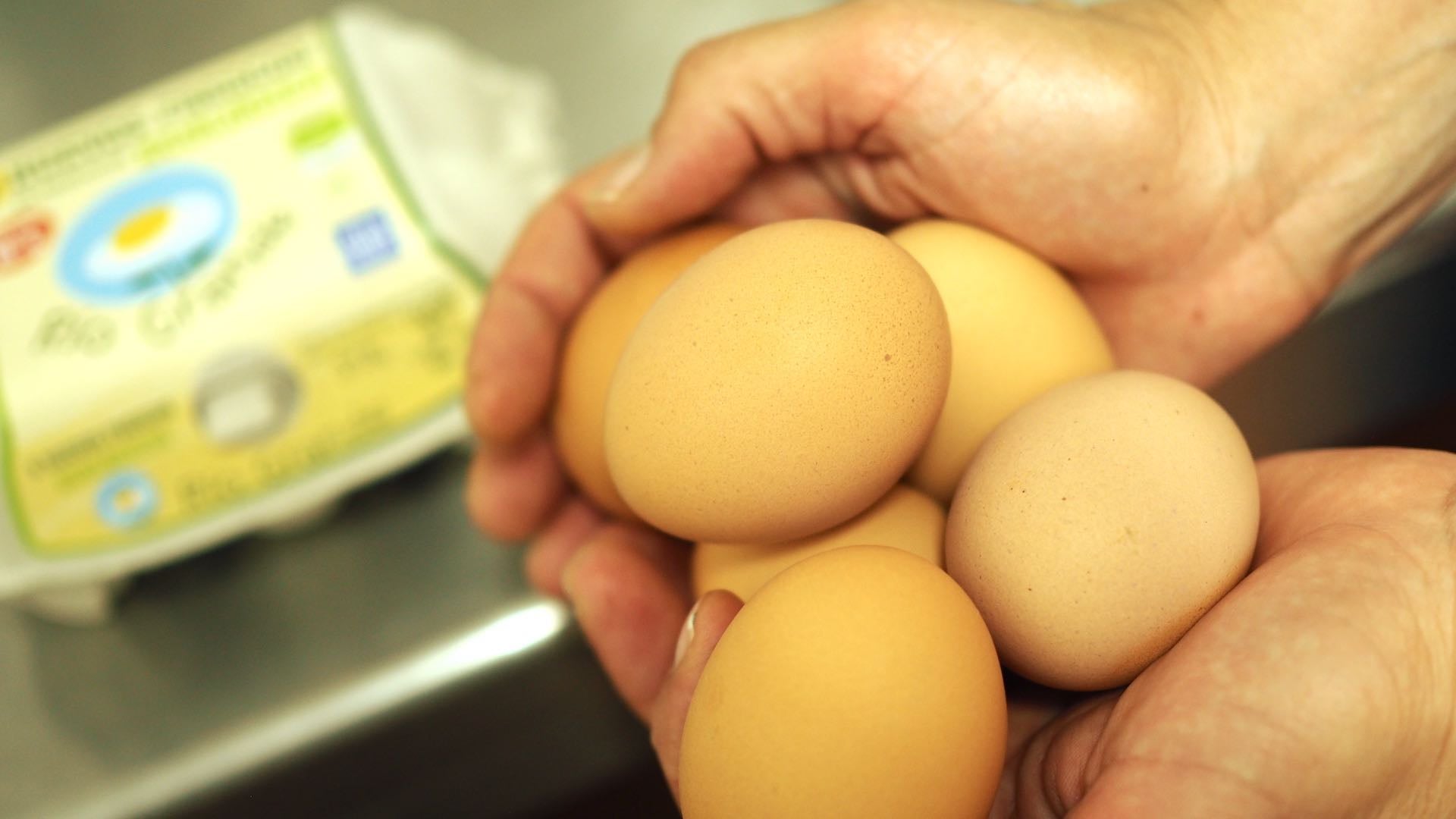 Lo excepcional en las pequeñas cosas: Huevos ecológicos de Huerta Río Grande, en Coín