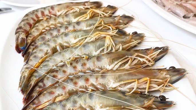 Una de las cocinas de producto más destacadas de Ma?laga