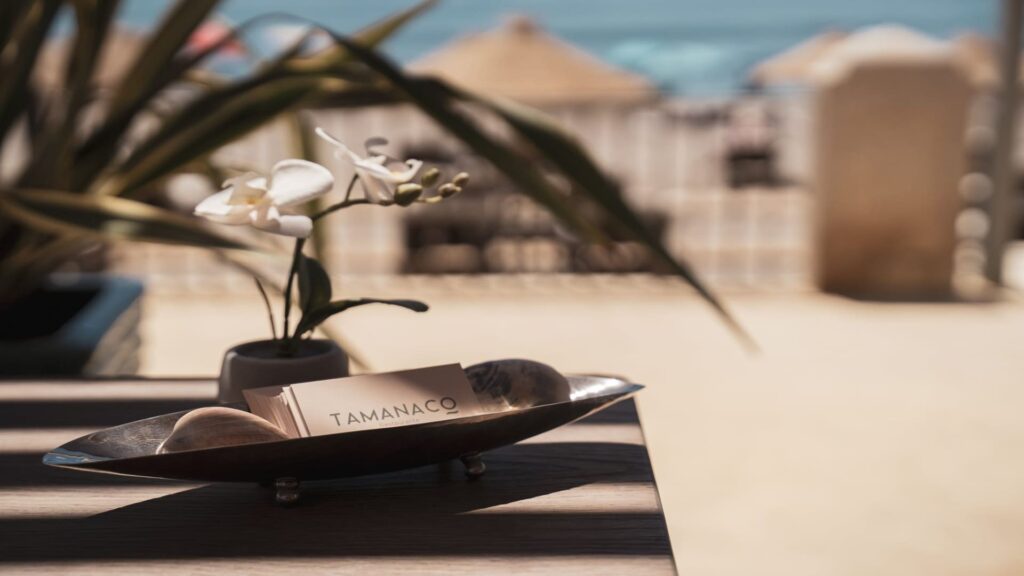 121051760_179078763687521_3838454708780757546_n. 