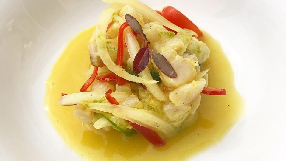 Midi by El Lago, la cara informal de una estrella