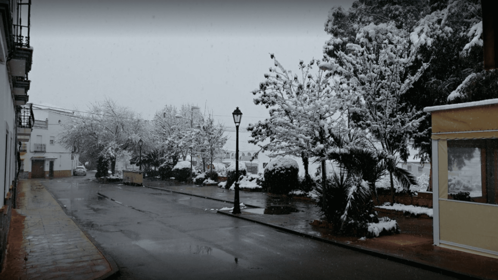 Screenshot 2021-09-18 16.23.45. 