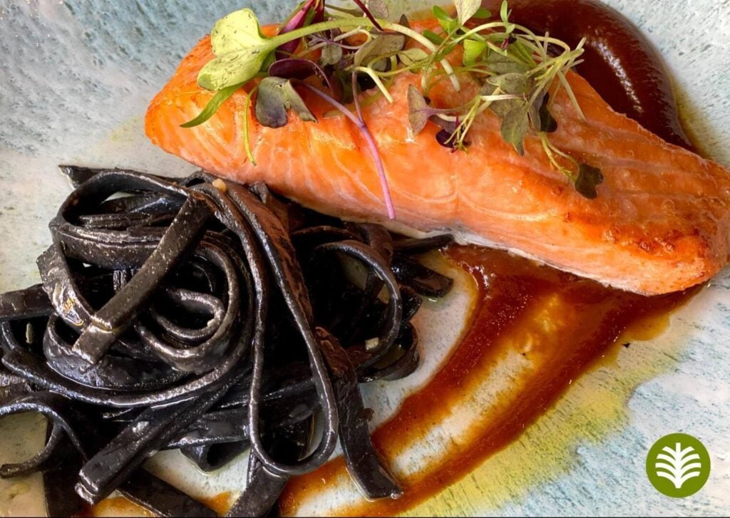 241700872_657120832344866_3679361662978071367_n. 