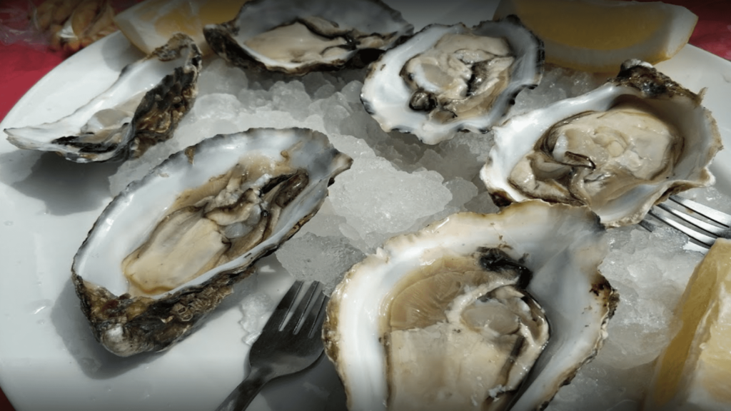 Screenshot 2021-11-19 12.02.26. 