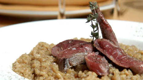 Arroz caldoso de paloma torcaz y morcilla - Gurmé