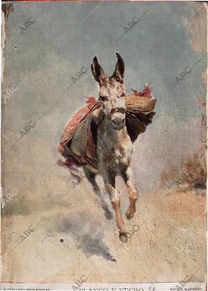 BLANCO Y NEGRO MADRID 02-01-1909