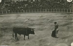 Vicente Pastor preparando su toro para la muerte