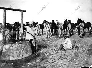 Soldados Llevando el ganado A Brevar en los Pozos Encontrados en las Posiciones...