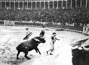 Blanquito al salir de poner un par de Banderillas