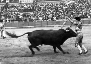 Rafael Gómez «el Gallo», poniendo un buen par de banderillas