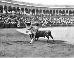 Celita Toreando de capa A su primer Toro