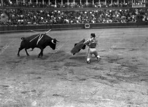 Vázquez Ii Pasando de Muleta, de Rodillas, A su primer Toro