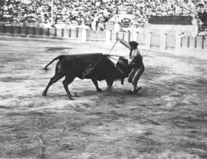 Lecumberri en el tercer Toro de la corrida A beneficio de la asociación de la...