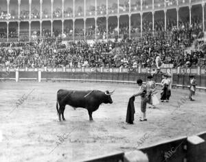 Paco Madrid Pasando de muleta al quinto Toro, antes de ser detenido