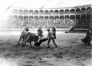 Fernando Gómez, Gallito Chico, pasando de muleta